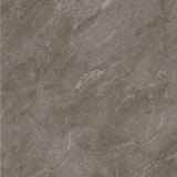 Gạch ốp lát men matt vân đá AMM-44006