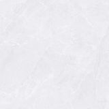 Gạch ốp lát men bóng vân đá AMP-66003