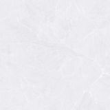 Gạch ốp lát men bóng vân đá AMP-66003