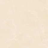 Gạch ốp lát men bóng vân đá AMP-66005