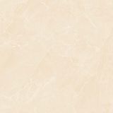 Gạch ốp lát men bóng vân đá AMP-66005