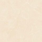 Gạch ốp lát men bóng vân đá AMP-66005