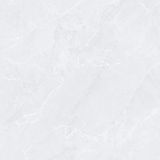 Gạch ốp lát men bóng vân đá AMP-88003