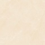 Gạch ốp lát men bóng vân đá AMP-88005