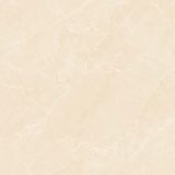 Gạch ốp lát men bóng vân đá AMP-88005