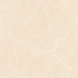 Gạch ốp lát men bóng vân đá AMP-88005