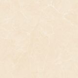 Gạch ốp lát men bóng vân đá AMP-88005