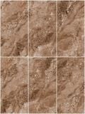 Gạch ốp lát men bóng vân đá C61MS904