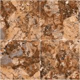 Gạch ốp lát men bóng vân đá C88EB903