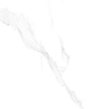 Gạch ốp lát men bóng vân đá C88JW807