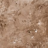 Gạch ốp lát men bóng vân đá C88MS904