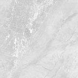 Gạch ốp lát men bóng vân đá C88MW804