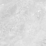 Gạch ốp lát men bóng vân đá C88MW804