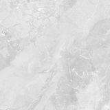 Gạch ốp lát men bóng vân đá C88MW804