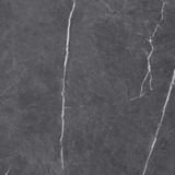 Gạch ốp lát men bóng vân đá C88NW905