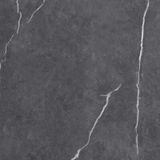 Gạch ốp lát men bóng vân đá C88NW905