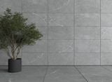 Gạch ốp lát men matt vân đá SMM-66012