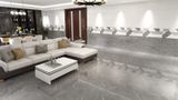 Gạch ốp lát men bóng vân đá C48NW905