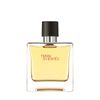 Hermes Terre D'Hermes Parfum