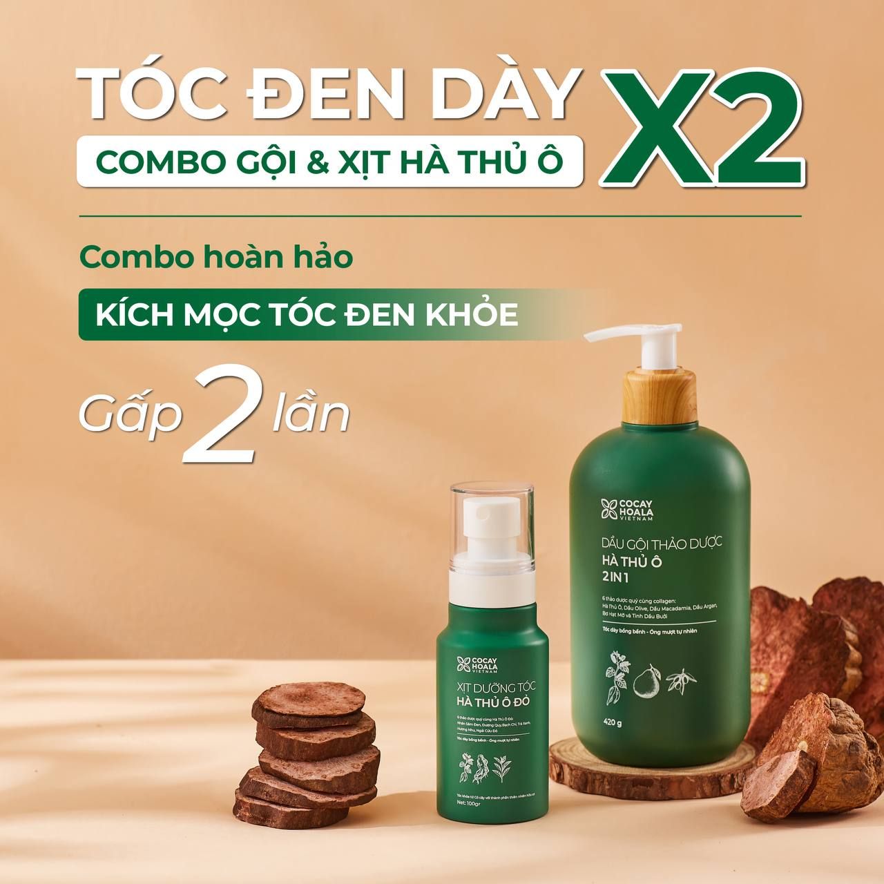 Dầu Gội Xả 2in1 Hà Thủ Ô COCAYHOALA VIETNAM - Dưỡng tóc đen mượt, bóng – Cỏ  Cây Hoa Lá