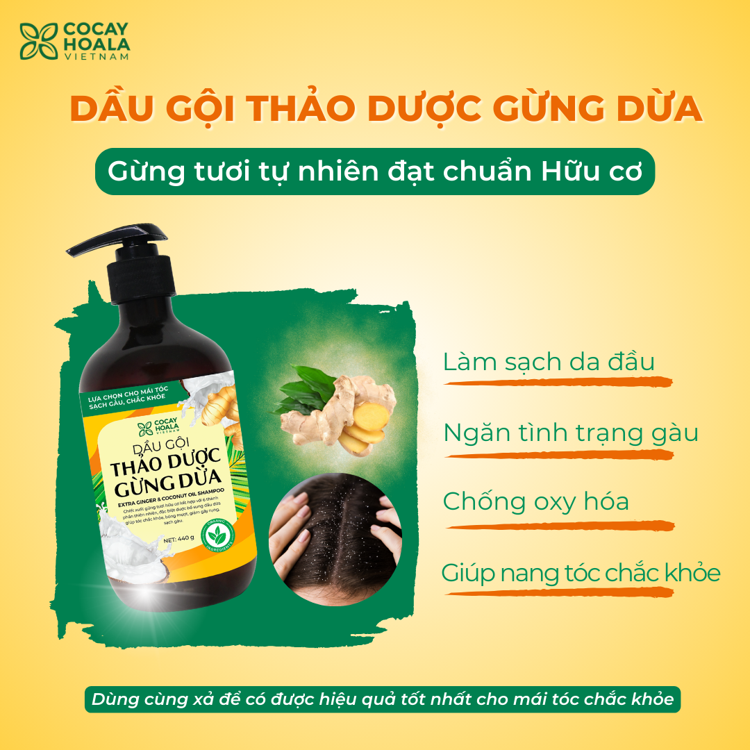 Dầu Gội Xả Hữu Cơ Gừng Dừa Cỏ Cây Hoa Lá