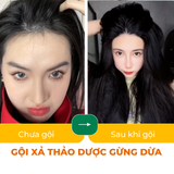 DẦU GỘI XẢ THẢO DƯỢC GỪNG DỪA