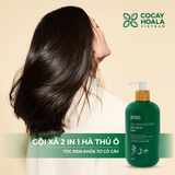 Dầu Gội Xả 2in1 Hà Thủ Ô COCAYHOALA VIETNAM - Dưỡng tóc đen mượt, bóng khỏe 420g/chai