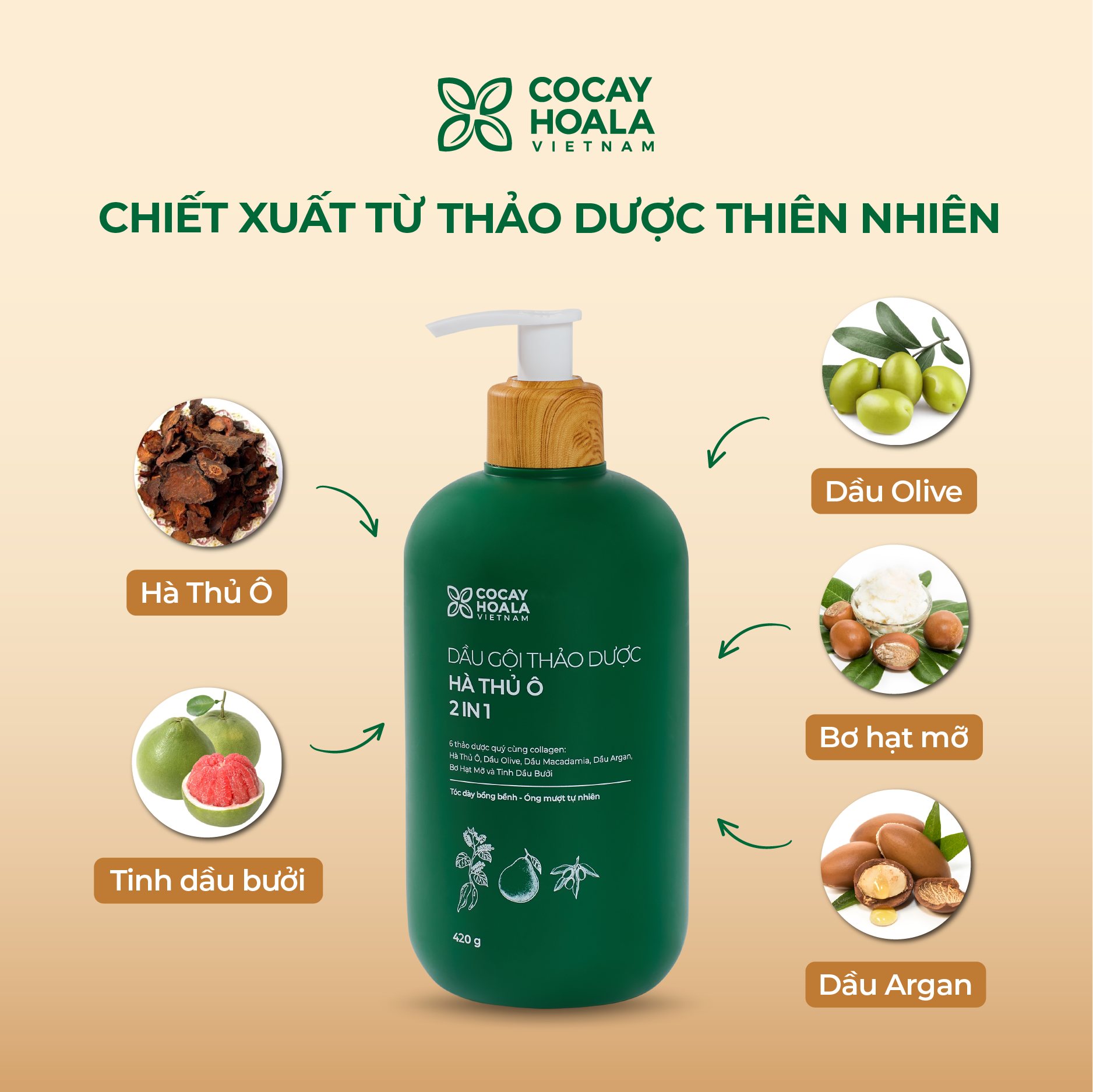 Dầu Gội Xả 2in1 Hà Thủ Ô Cỏ Cây Hoa Lá