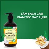 DẦU GỘI THẢO DƯỢC GỪNG DỪA HỮU CƠ - LÀM SẠCH GÀU HIỆU QUẢ