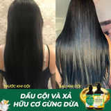 DẦU GỘI XẢ GỪNG DỪA HỮU CƠ - KÍCH THÍCH MỌC TÓC, DƯỠNG TÓC MỀM MƯỢT