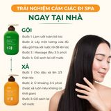 Gel gội xả hữu cơ Gừng Sả 500g