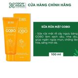 SỮA RỬA BẰNG RỄ CÂY NGƯU BÀNG GOBO