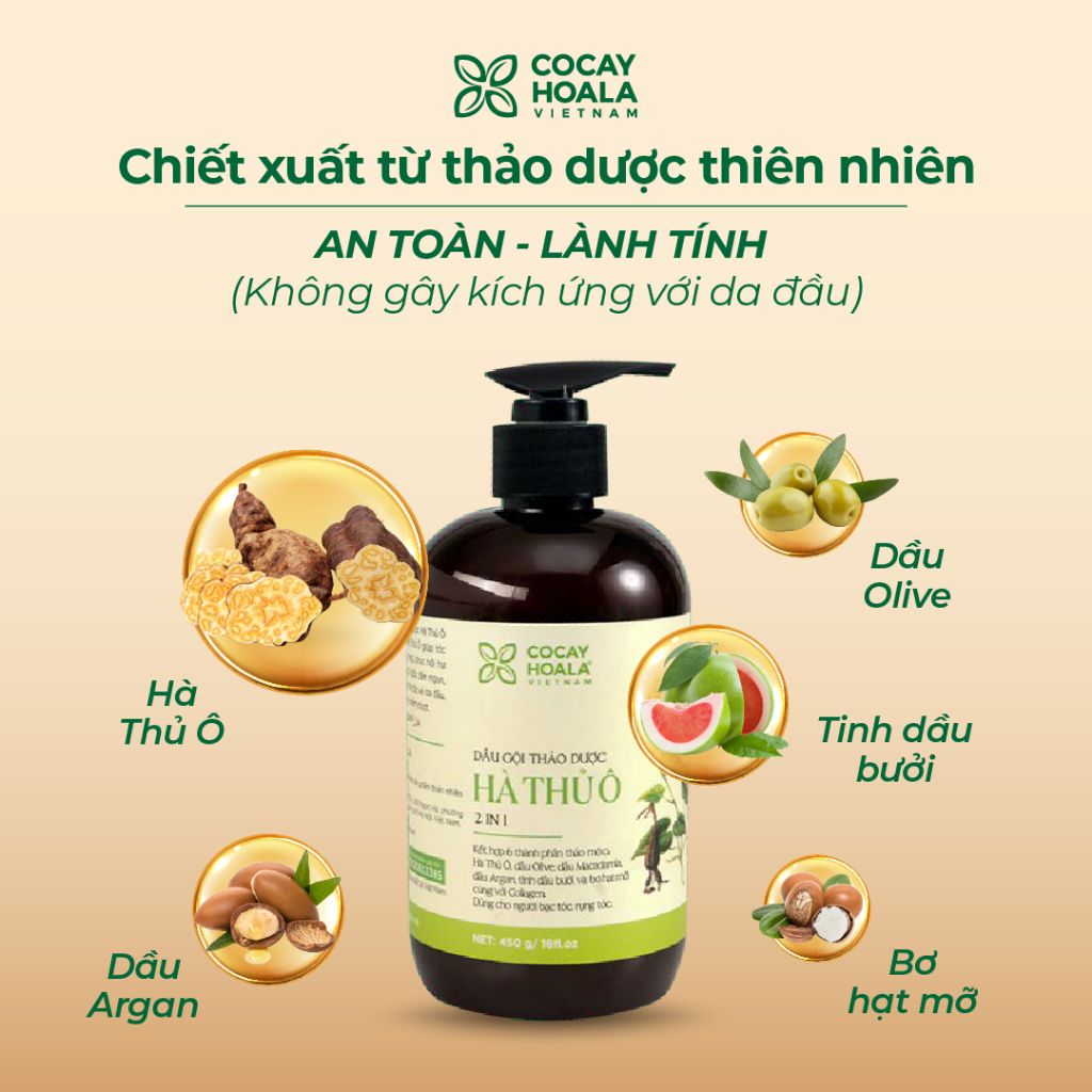 Lưu ý khi sử dụng dầu gội đầu hà thủ ô Lưu ý khi sử dụng dầu gội đầu hà thủ ô