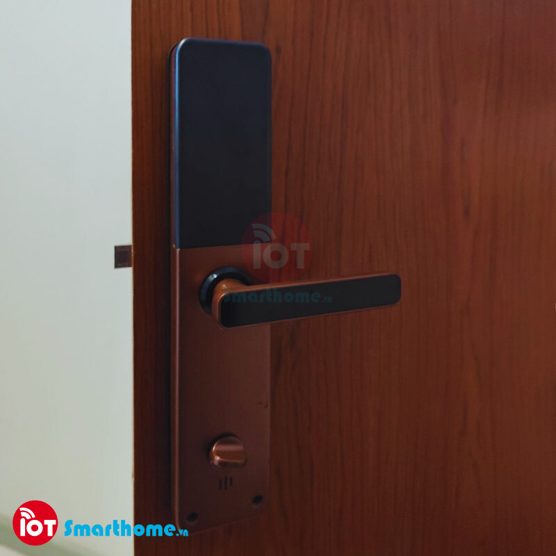 Khóa thông minh IOT LOCK D1100 Bluetooth