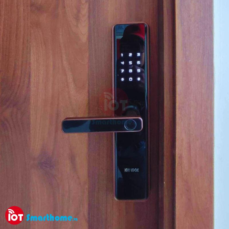 Khóa thông minh IOT LOCK D1100 Bluetooth
