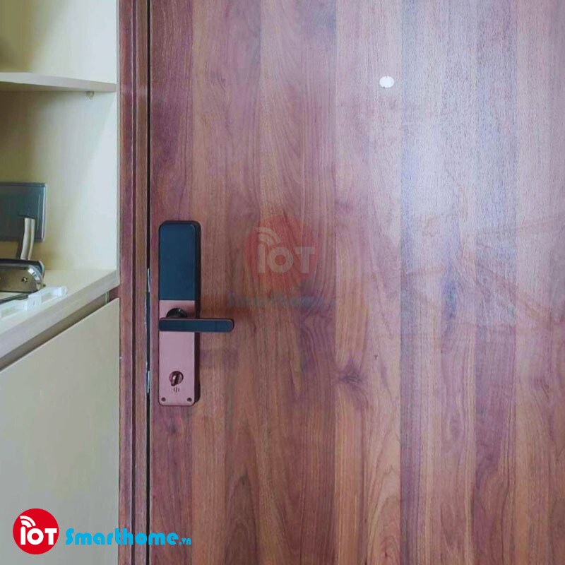Khóa thông minh IOT LOCK D1100 Bluetooth