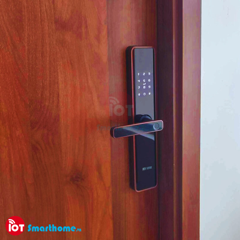 Khóa thông minh IOT LOCK D1100 Bluetooth