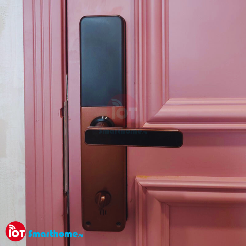Khóa thông minh IOT LOCK D1100 Bluetooth