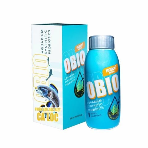 Koika OBIO Phiên Bản Đặc Biệt Dành Cho Cá Lóc