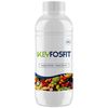 KEY FOSIT
