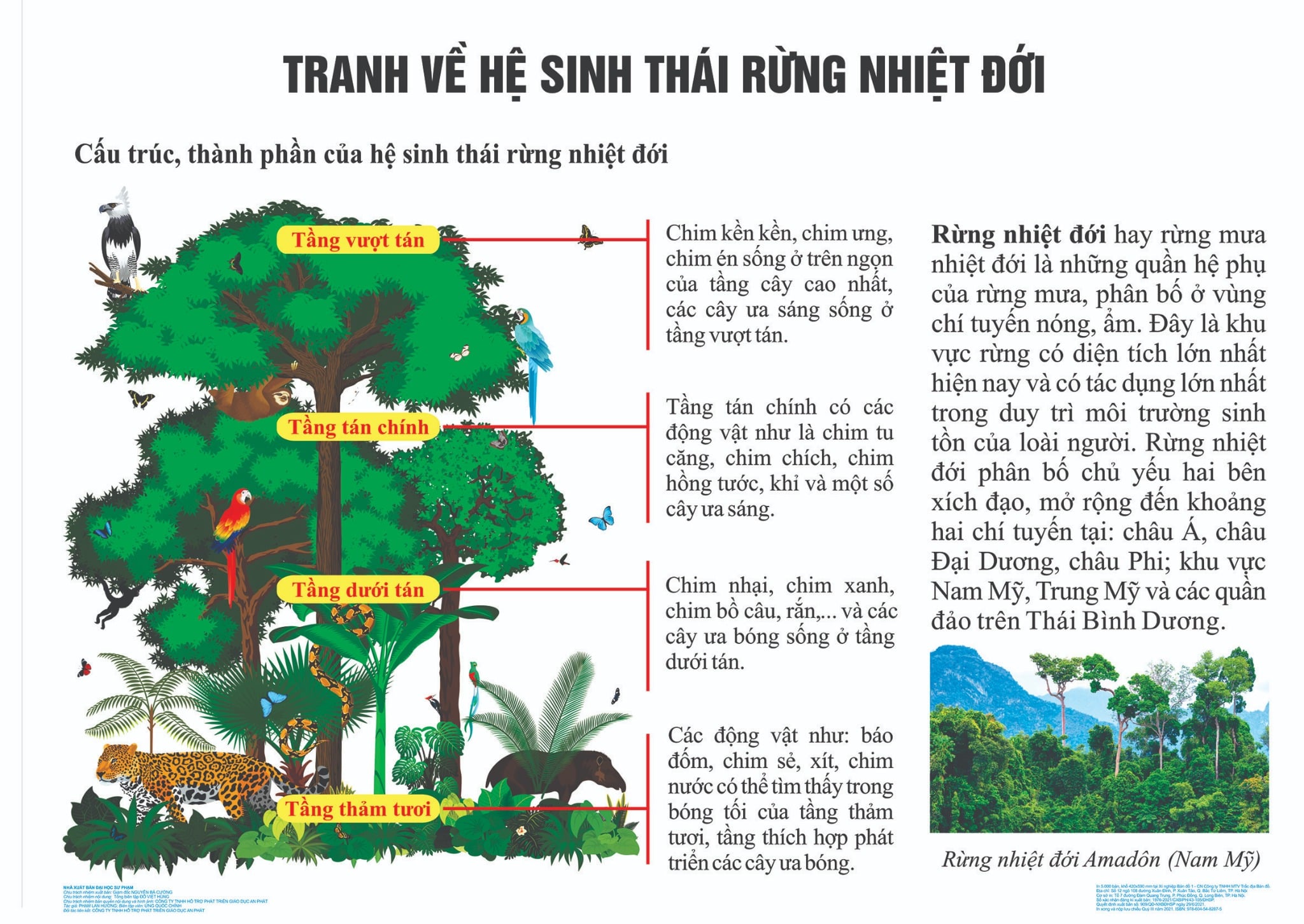 Tranh về Hệ sinh thái rừng nhiệt đới – Bản đồ quả cầu Việt NARENCA