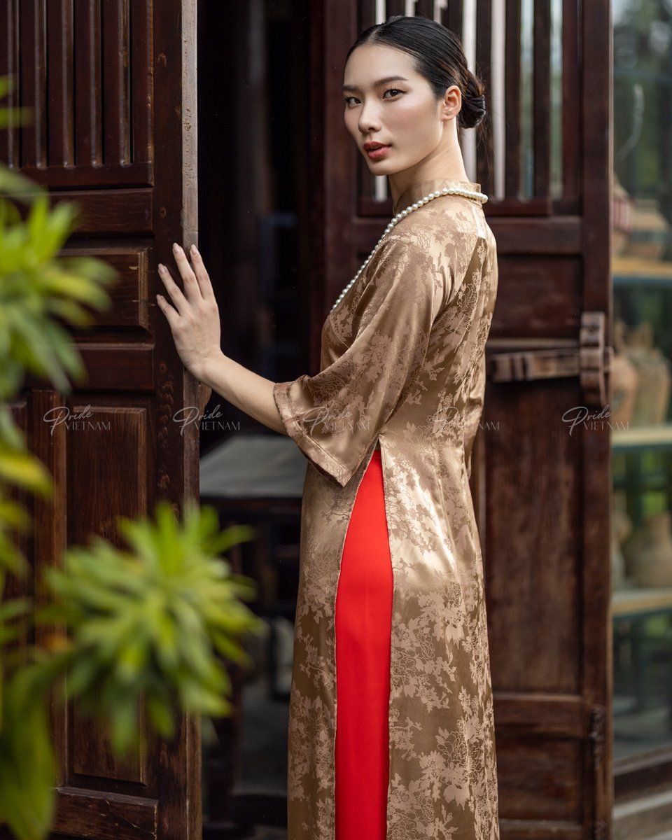 Áo Dài Lụa Nâu Pride Việt Nam