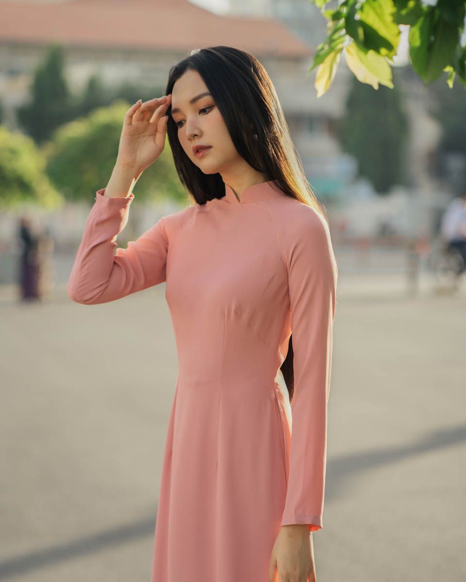 Áo Dài Chiffon Hồng Pride Việt Nam