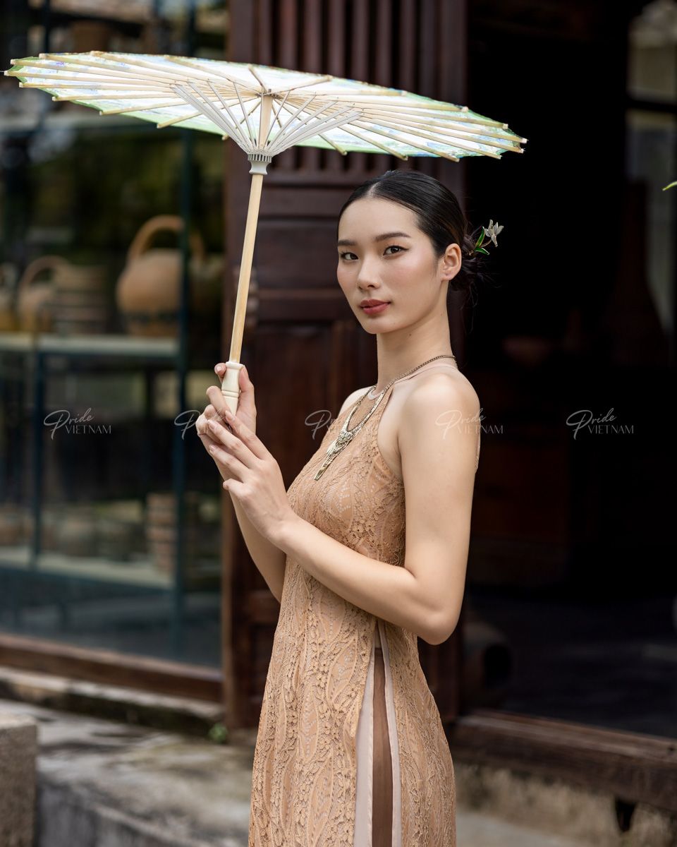 Áo Dài Nữ Yếm Ren Nâu Pride Việt Nam