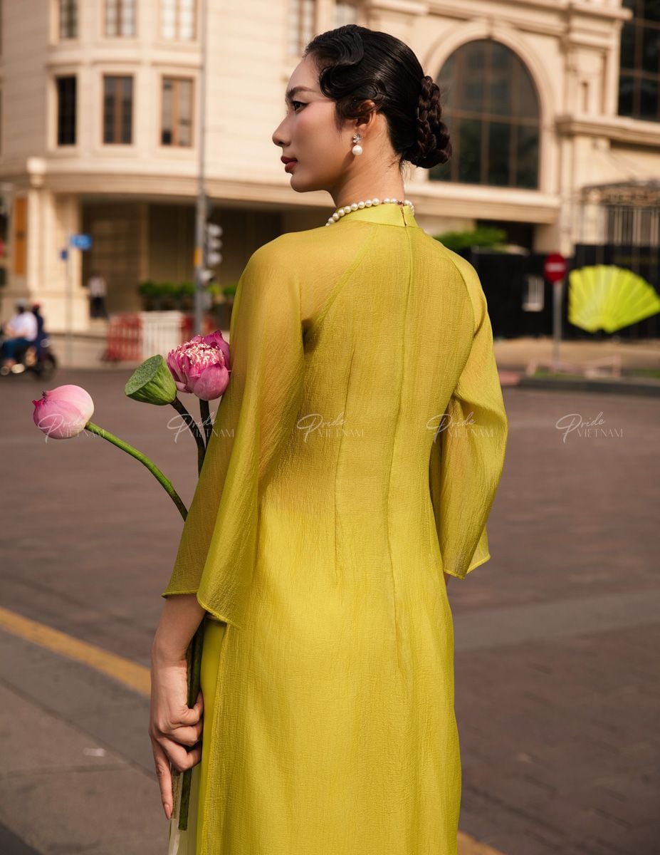 Áo Dài Voan Nữ Dưa Cải Pride Việt Nam