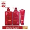  Bộ ba dầu gội - dầu xả - kem xả dưỡng tóc bóng mượt Tsubaki Premium Moist 