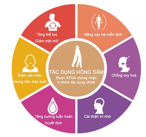 Hồng sâm củ khô 6 năm tuổi (Korean Red Ginseng 6Y 21-40 Root) 600g/hộp