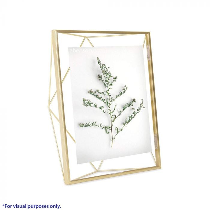 KHUNG HÌNH SỢI THÉP HIỆU PRISMA ĐỒNG NHÁM 20X25CM