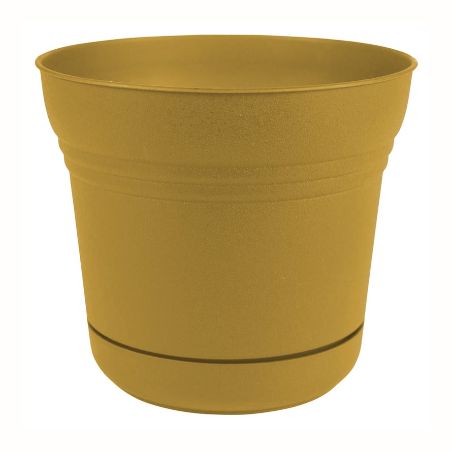 BLOEM CHẬU CÂY NHỰA POLYRESIN 25.4CM MÀU VÀNG