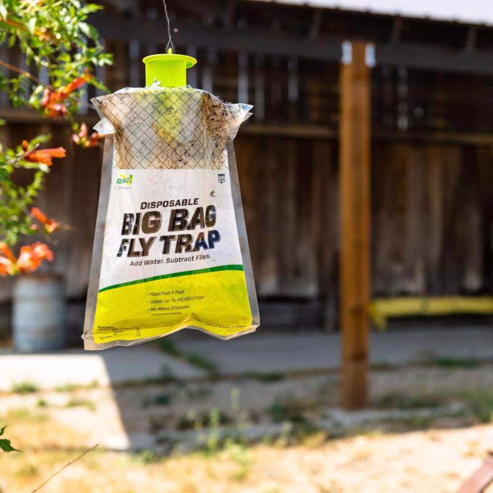 BẪY RUỒI DẠNG BỘT RESCUE 56G